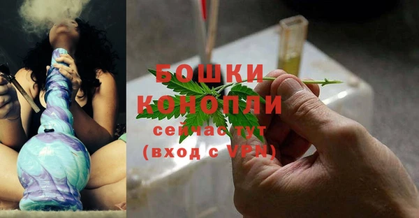 шишки Бугульма
