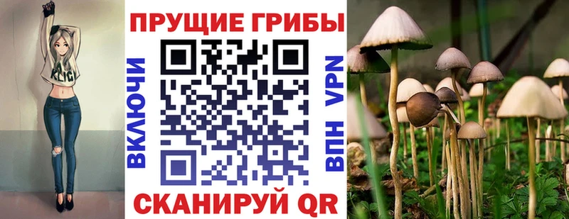 Псилоцибиновые грибы MAGIC MUSHROOMS  Купить где  Печоры 